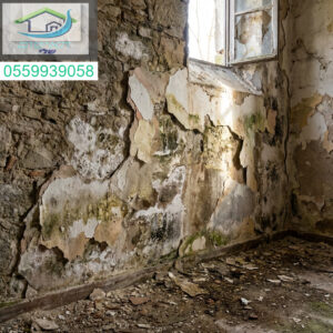 רטיבות ועובש מקלפים את קירותיכם הגיע הזמן לטיפול יסודי ומקצועי.